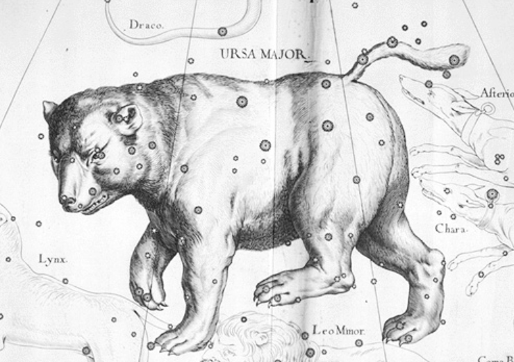 Antique illustration of the constellation ursa major