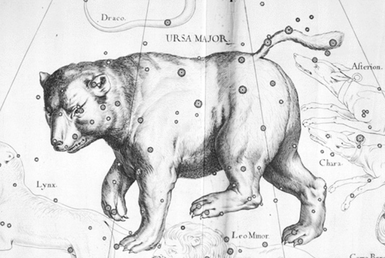 Antique illustration of the constellation ursa major