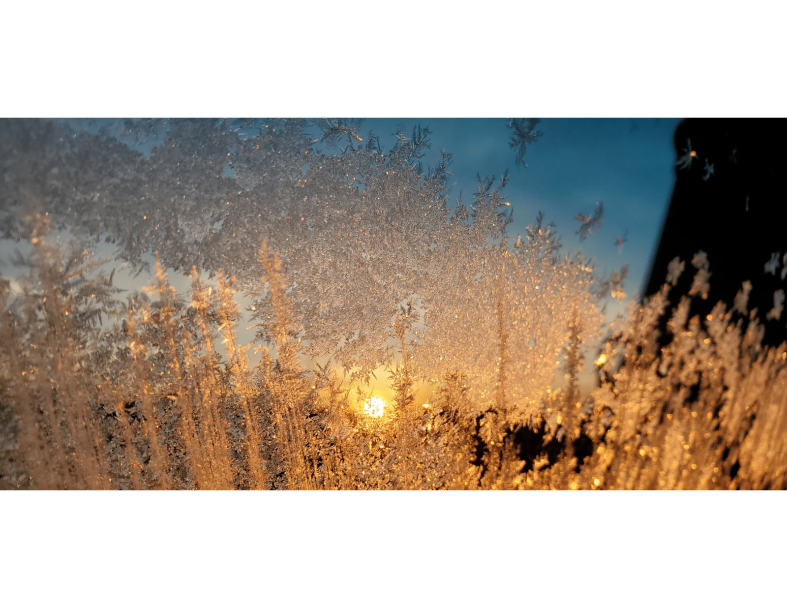 Photograph of a frosted window, the ice crystals are golden illuminated by the sun