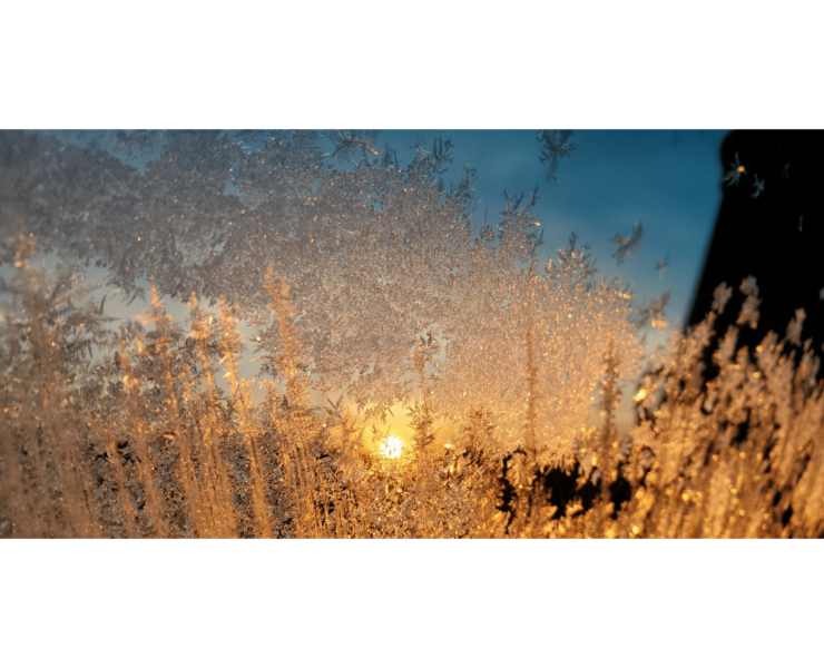 Photograph of a frosted window, the ice crystals are golden illuminated by the sun