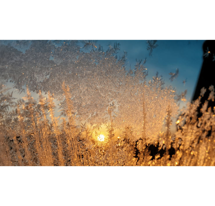 Photograph of a frosted window, the ice crystals are golden illuminated by the sun