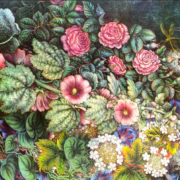 Painting of roses and mallows