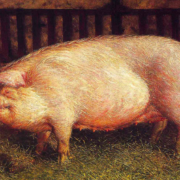 Painting of a pig in a pen