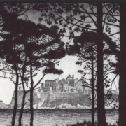 Pineta Of Calvi Corsica