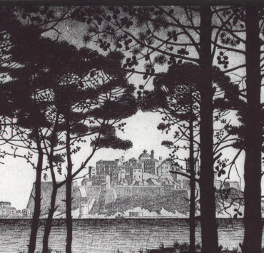 Pineta Of Calvi Corsica