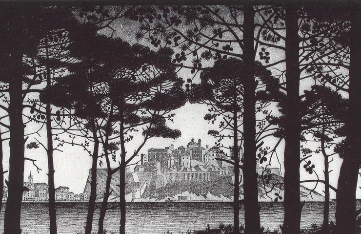 Pineta Of Calvi Corsica