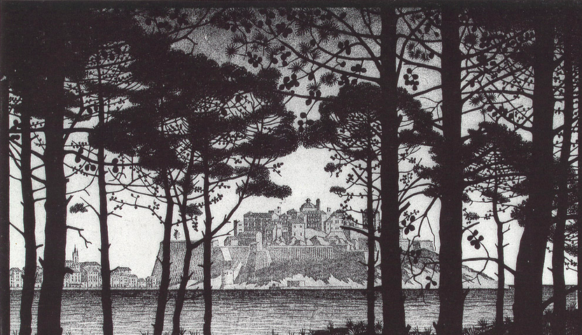 Pineta Of Calvi Corsica