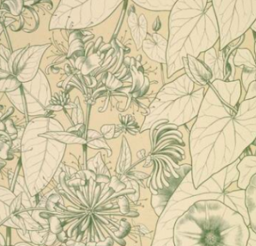 Leaves and Flowers from Nature Ornament no. 9. Honeysuckle and Convolvulus
