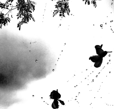Rain Drops & Flowers Captured In The Spider's Web