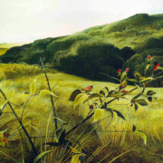 Blackberry Picker
