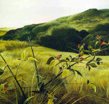 Blackberry Picker