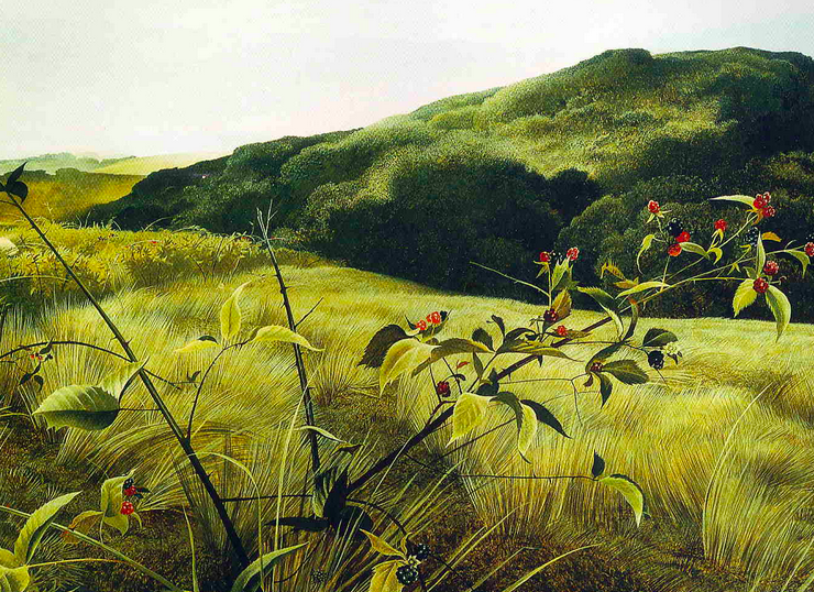 Blackberry Picker