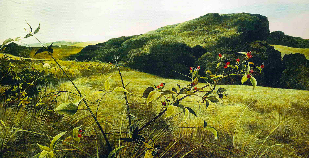 Blackberry Picker
