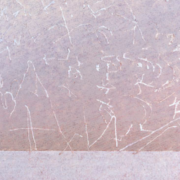 Field Language 1