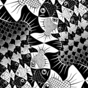 black and white geometric illustration of goldfish in a spiral pattern