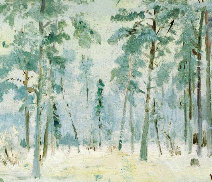 Forest Into The Frost