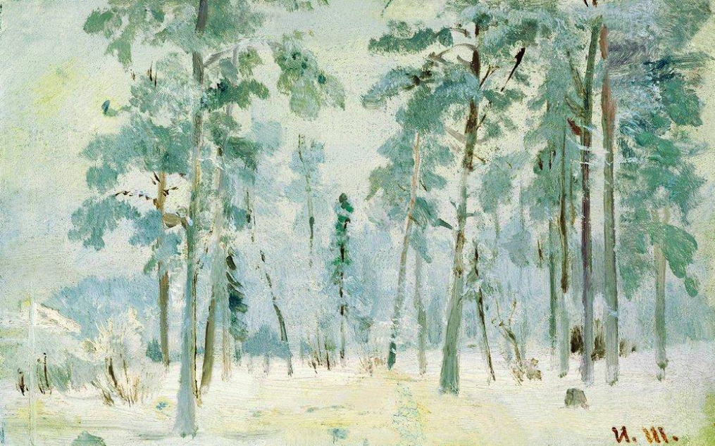 Forest Into The Frost