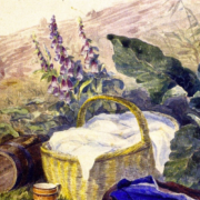 Still Life. Basket, Foxgloves, Clothes, & Other Objects