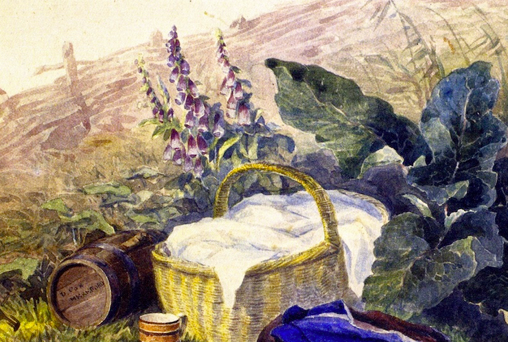 Still Life. Basket, Foxgloves, Clothes, & Other Objects