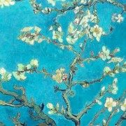 Branches With Almond Blossom