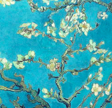 Branches With Almond Blossom