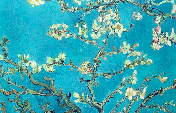 Branches With Almond Blossom