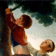 Boys Climbing A Tree