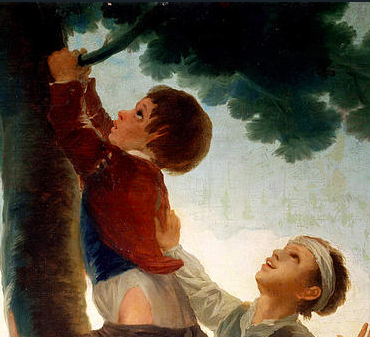 Boys Climbing A Tree