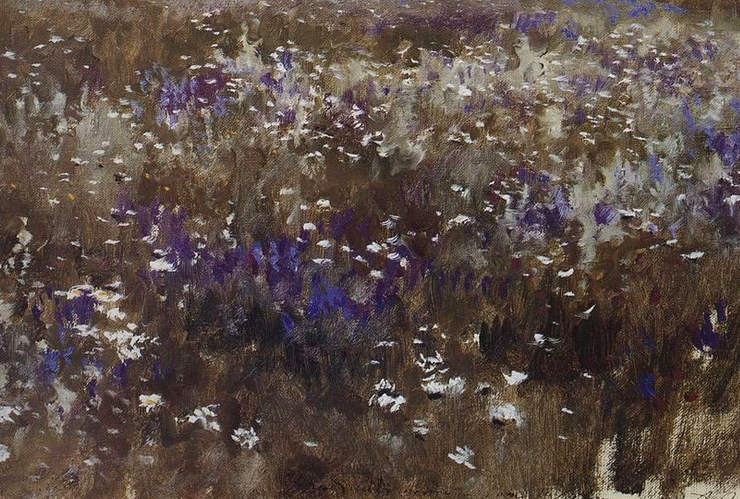 Flowery Meadow