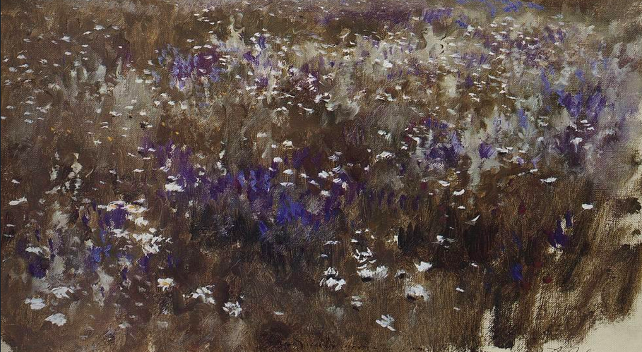 Flowery Meadow