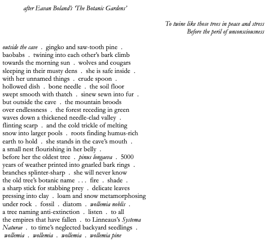after Eavan Boland’s ‘The Botanic Gardens’
To twine like those trees in peace and stress
Before the peril of unconsciousness
outside the cave . gingko and saw-tooth pine .
baobabs . twining into each other’s bark climb
towards the morning sun . wolves and cougars
sleeping in their musty dens . she is safe inside .
with her unnamed things . crude spoon .
hollowed dish . bone needle . the soil floor
swept smooth with thatch . sinew sewn into fur .
but outside the cave . the mountain broods
over endlessness . the forest receding in green
waves down a thickened needle-clad valley .
flinting scarp . and the cold trickle of melting
snow into larger pools . roots finding humus-rich
earth to hold . she stands in the cave’s mouth .
a small nest flourishing in her belly .
before her the oldest tree . pinus longaeva . 5000
years of weather printed into gnarled bark rings .
branches splinter-sharp . she will never know
the old tree’s botanic name . . . fire . shade .
a sharp stick for stabbing prey . delicate leaves
pressing into clay . loam and snow metamorphosing
under rock . fossil . diatom . wollemia noblis .
a tree naming anti-extinction . listen . to all
the empires that have fallen . to Linneaus’s Systema
Naturae . to time’s neglected backyard seedlings .
wollemia . wollemia . wollemia . wollemia pine
