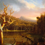 Lake With Dead Trees (Catskill)
