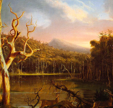 Lake With Dead Trees (Catskill)