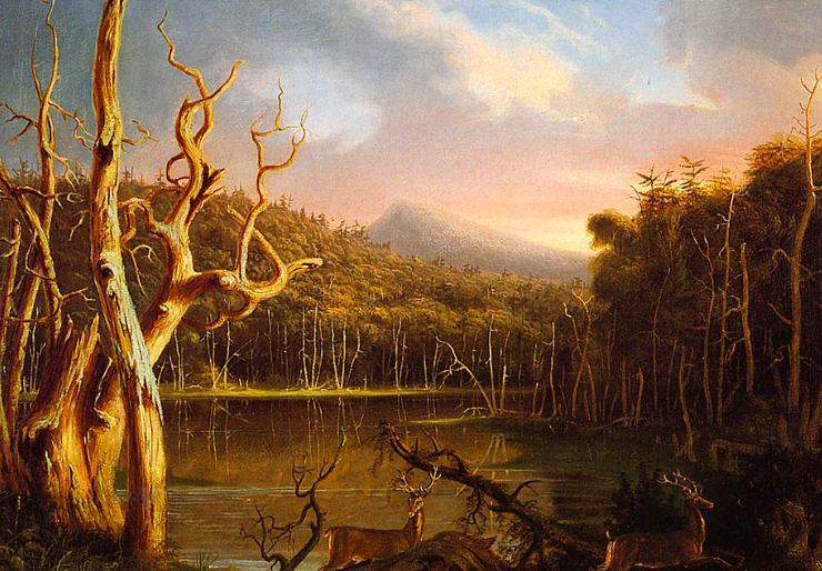 Lake With Dead Trees (Catskill)