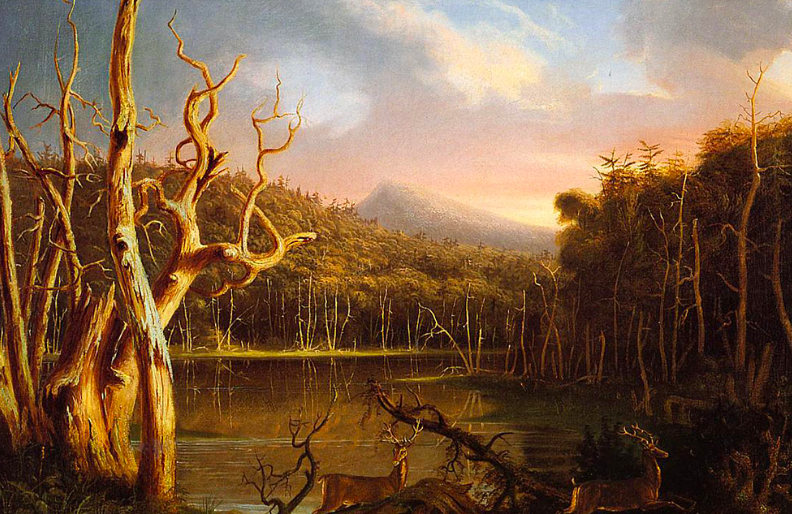 Lake With Dead Trees (Catskill)