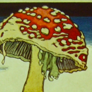 Mushroom
