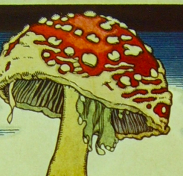 Mushroom