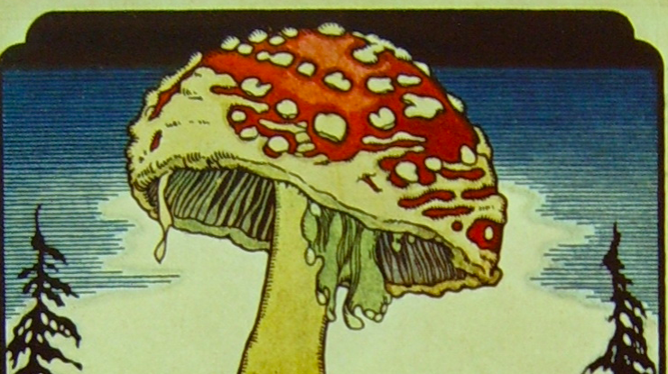 Mushroom