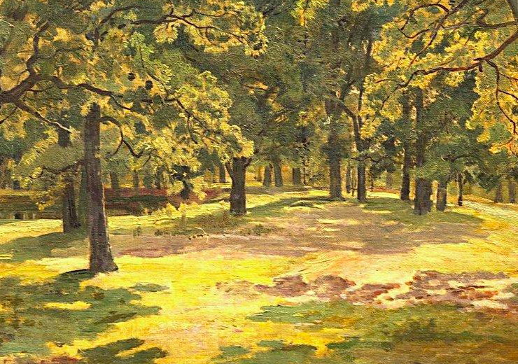 Oak Forest