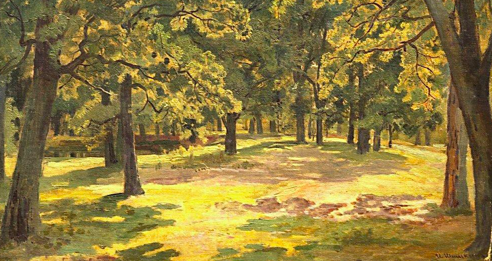 Oak Forest