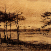 Pine Trees in the Fen