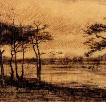 Pine Trees in the Fen