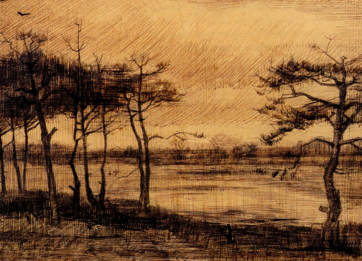 Pine Trees in the Fen