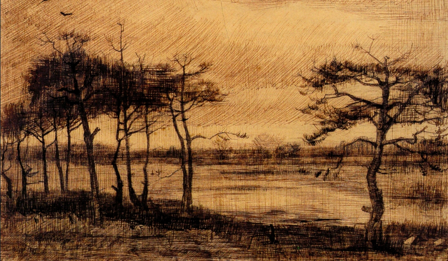 Pine Trees in the Fen