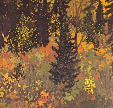 The Dark Woods Interior