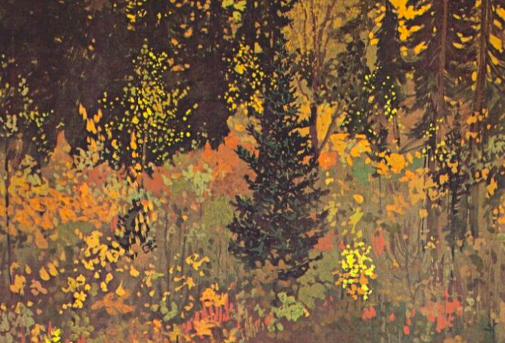 The Dark Woods Interior