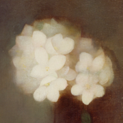 Vase With Jasmin