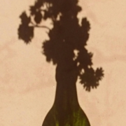 Green Bottle With Flowers