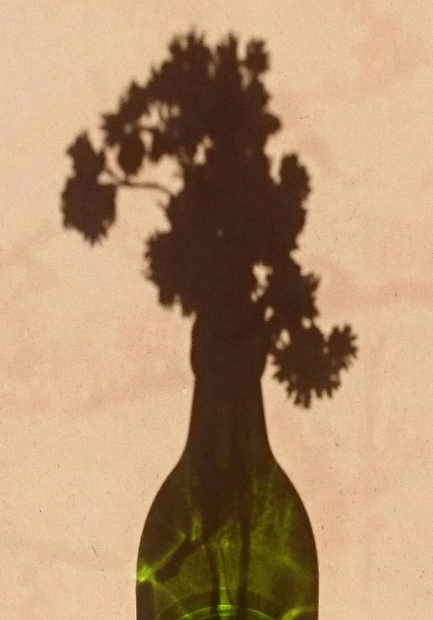 Green Bottle With Flowers