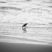 Observation 4